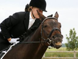 179135_10150929546363585_1468150983_n_web